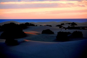 47 Gran Canaria - Maspalomas