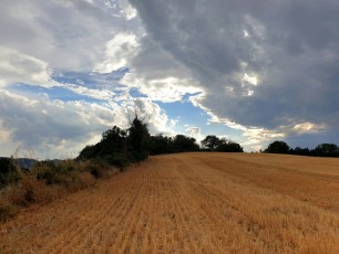 50 Luci sulle Marche