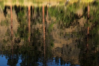 04 I Colori della Natura