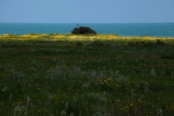 52-I-colori-della-natura