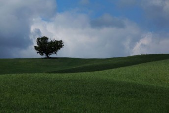 44 Statale Maremmana