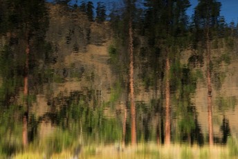 05 I Colori della Natura