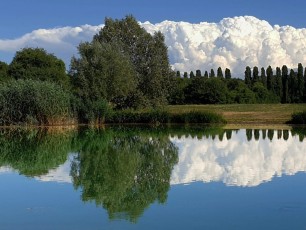 10 Milano - Laghetto del Parco Nord