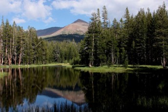 67 California - Tioga Pass