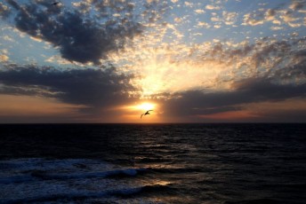 41-Ocean-Sunset