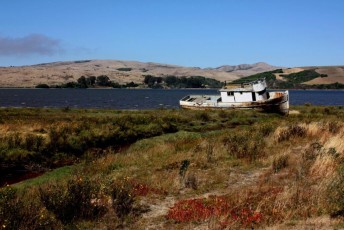 14 California - Inverness - Point Reyes