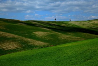 36 Val d_Orcia