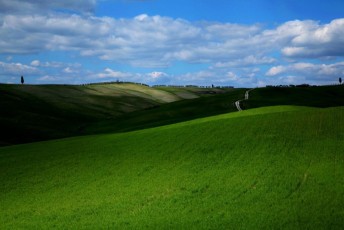 37 Val d_Orcia