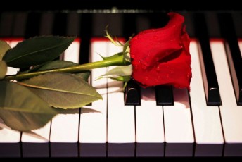 49 Rosa sul Piano