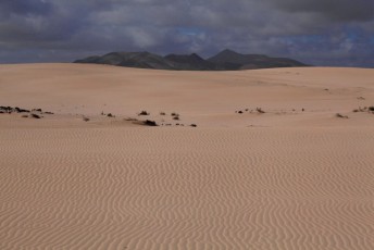 54 Fuerteventura - Deserto di Corralejo