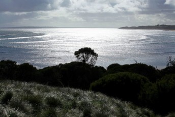58 Australia - Phillip Island