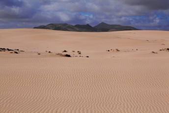 69 Fuerteventura - Deserto di Corralejo