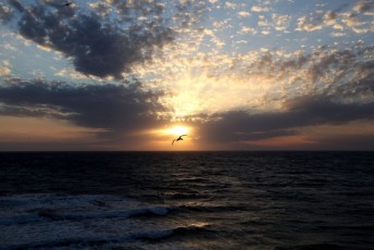 95 Ocean Sunset